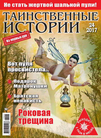 Обложка книги «Таинственные истории №24/2017»