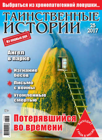 Обложка книги «Таинственные истории №25/2017»
