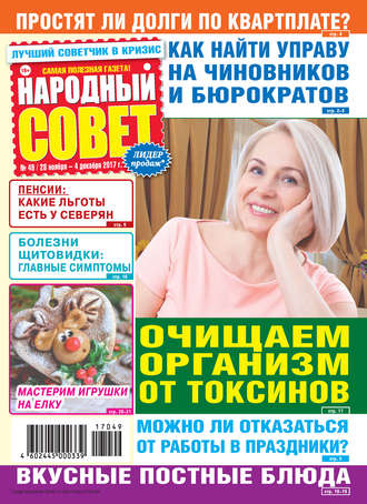 Обложка книги «Народный совет №49/2017»