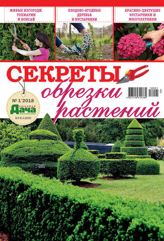 Обложка книги «Любимая дача. Буказин №01/ 2018. Секреты обрезки растений»