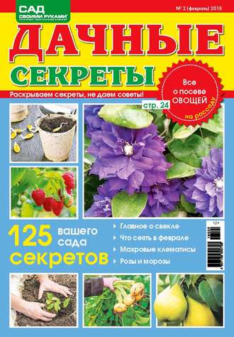 Обложка книги «Сад своими руками. Дачные секреты №2/2018»