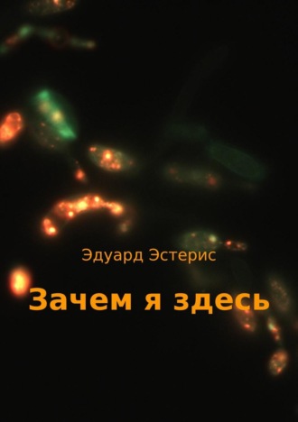 Обложка книги «Зачем я здесь»