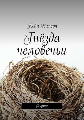 Обложка книги «Гнёзда человечьи. Лирика»