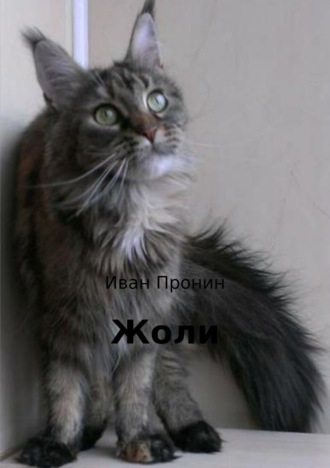 Обложка книги «Жоли»