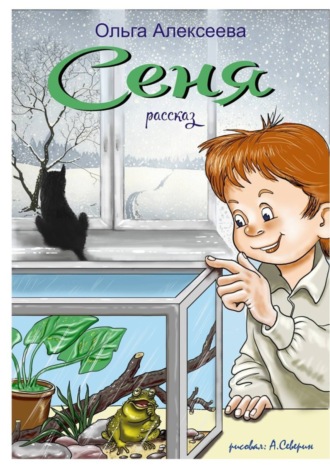 Обложка книги «Сеня»