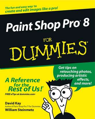 William  Steinmetz. Paint Shop Pro 8 For Dummies