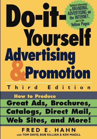 Fred Hahn E.. Do-It-Yourself Advertising and Promotion. How to Produce Great Ads, Brochures, Catalogs, Direct Mail, Web Sites, and More!