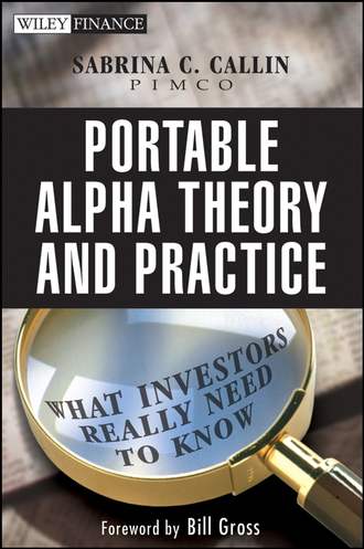 Sabrina  Callin. Portable Alpha Theory and Practice. What Investors Really Need to Know