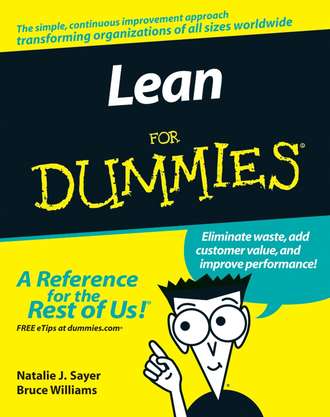 Bruce  Williams. Lean For Dummies