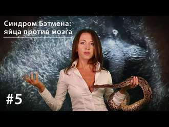 Обложка книги «Синдром Бэтмена: яйца против мозга»