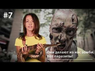 Обложка книги «Они делают из нас зомби. Вот паразиты!»