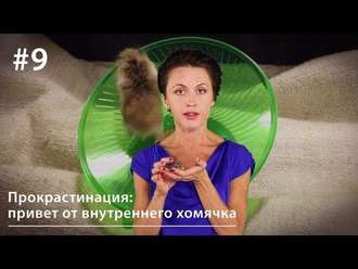 Обложка книги «Прокрастинация: привет от внутреннего хомячка»
