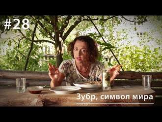 Обложка книги «Зубр, символ мира»