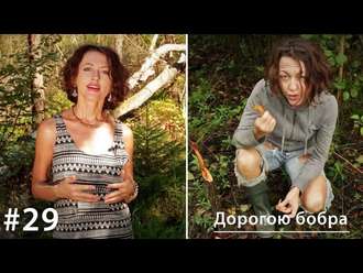 Обложка книги «Дорогою бобра»