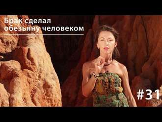 Обложка книги «Брак сделал обезьяну человеком»