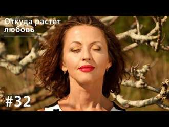 Обложка книги «Откуда растет любовь»