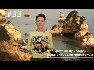 Обложка книги «Изобретено природой, запатентовано человеком»
