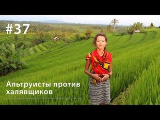 Обложка книги «Давайте по справедливости: альтруисты против халявщиков»