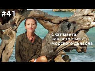Обложка книги «Манта: как встретить морского дьявола»
