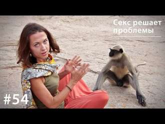 Обложка книги «Секс решает проблемы»