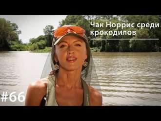 Обложка книги «Чак Норрис среди крокодилов»