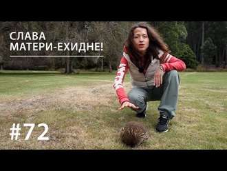 Обложка книги «Слава Матери-ехидне!»