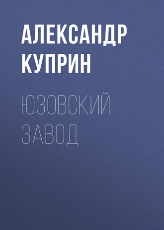Обложка книги «Юзовский завод»