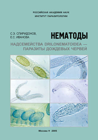 Обложка книги «Нематоды надсемейства Drilonematoidea – паразиты дождевых червей»