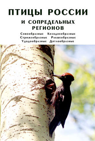 Обложка книги «Птицы России и сопредельных регионов. Совообразные, Козодоеобразные, Стрижеобразные, Ракшеобразные, Удодообразные, Дятлообразные»