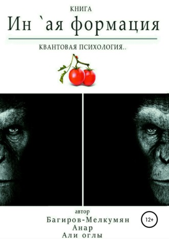 Обложка книги «`Ин-ая формация. Квантовая психология»