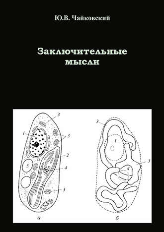 Обложка книги «Заключительные мысли»