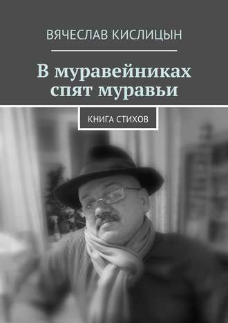 Вячеслав Кислицын. В муравейниках спят муравьи. Книга стихов