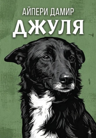 Обложка книги «Джуля»