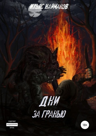 Обложка книги «Дни за Гранью»