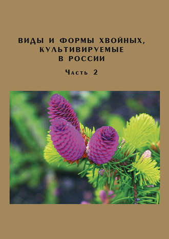 Обложка книги «Виды и формы хвойных, культивируемые в России. Часть 2. Picea A. Dietr., Thuja L.»