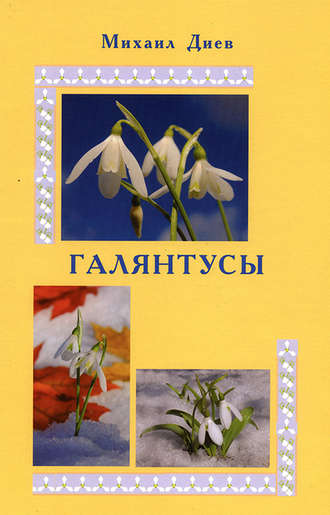 Обложка книги «Галянтусы»