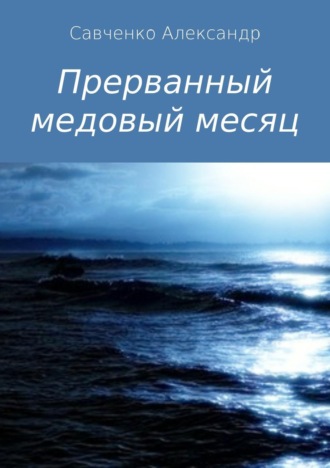 Александр Вячеславович Савченко. Прерванный медовый месяц