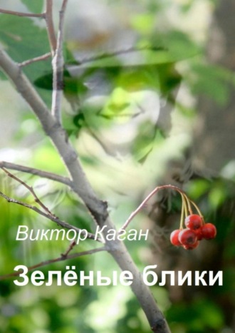 Виктор Каган. Зелёные блики