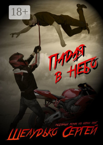 Обложка книги «Падая в небо»