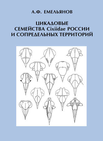 Обложка книги «Цикадовые семейства Cixiidae России и сопредельных территорий»