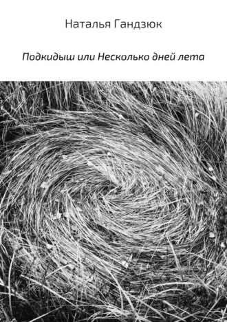 Обложка книги «Подкидыш, или Несколько дней лета»