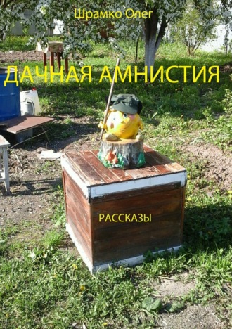 Обложка книги «Дачная амнистия. Рассказы»