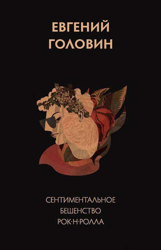 Обложка книги «Сентиментальное бешенство рок-н-ролла»