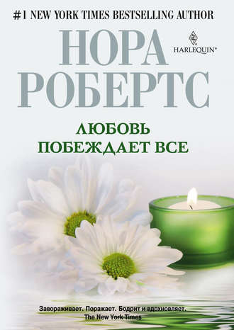 Обложка книги «Любовь побеждает все»