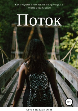 Обложка книги «Поток»