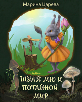 Обложка книги «Шуля Мю и потайной мир»