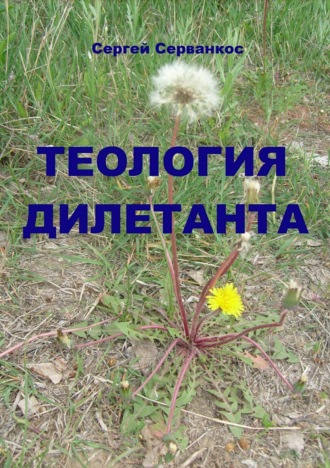 Обложка книги «Теология дилетанта»