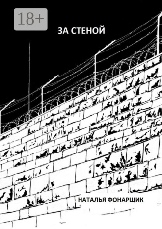 Обложка книги «За стеной»