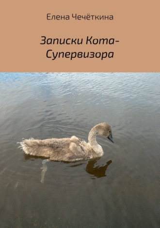 Обложка книги «Записки Кота-Супервизора»