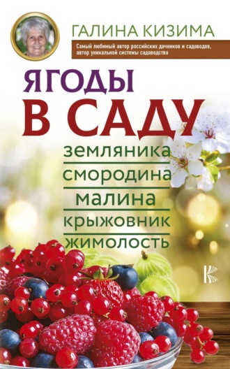 Обложка книги «Ягоды в саду. Земляника, смородина, малина, крыжовник, жимолость»